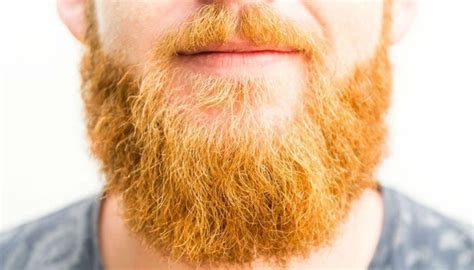 7 Best Beard Dyes That Are Truly Effective And Safe 2022 Beard Dye