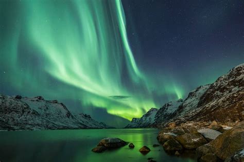 Wildlife Holidays In Norway For 202324 Naturetrek