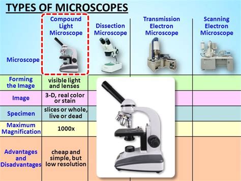 What Is The Maximum Magnification Of A Compound Light Microscope
