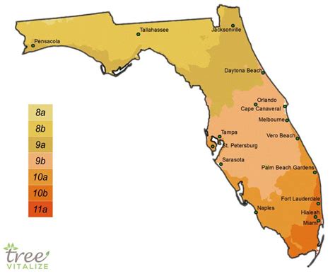 When To Plant Tomatoes In Florida Zone 9 Green Packs