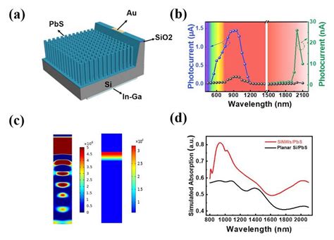 Tunable Infrared Dual Band Photodetector