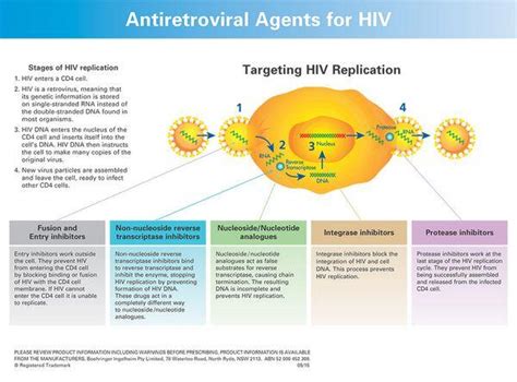 Classification Of Antiretroviral Agents Antiviral Agents