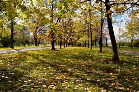 777733 4k Parks Autumn Trees Mocah Hd Wallpapers