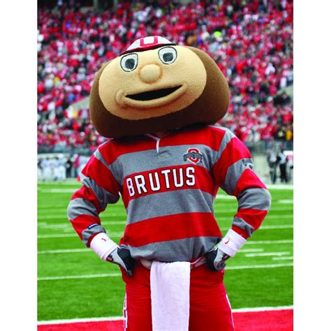 Ohio State University Brutus Buckeye Mascot Costume