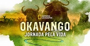 Okavango: River of Dreams streaming: watch online