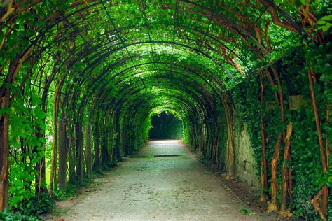 Vert Tunnel Naturel Photo Gratuite Sur Pixabay Pixabay