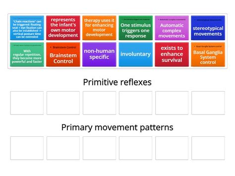 Primitive Reflexes Primary Movement Patterns Group Sort
