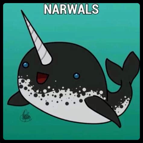 ¡narwals Narwhal Art Artsy