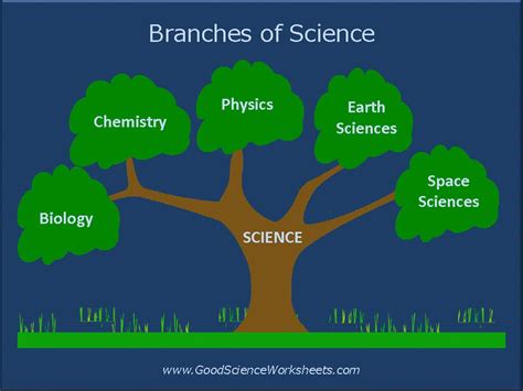Branches Of Science Concept Map