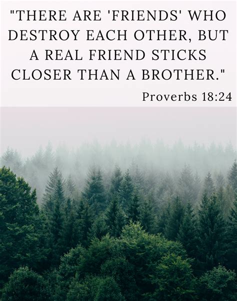 15 Bible Verses About Friendship And The Qualities Of A True Friend