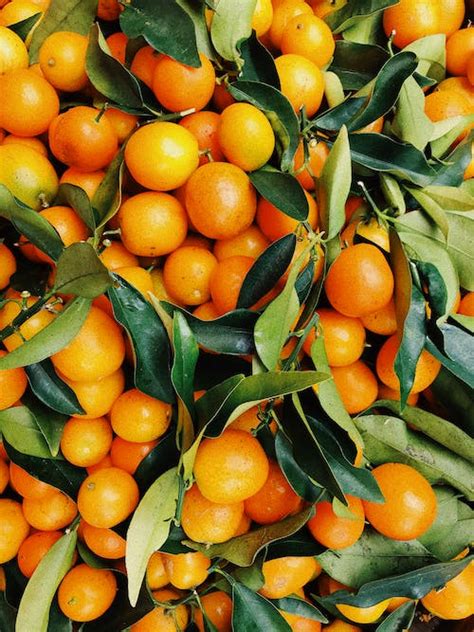 Oranges Photos Download The Best Free Oranges Stock Photos And Hd Images
