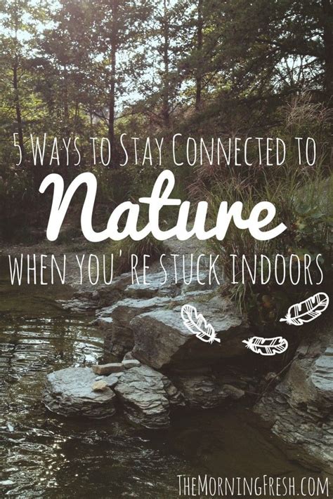 5 Ways To Stay Connected To Nature Even When Youre Not In Nature