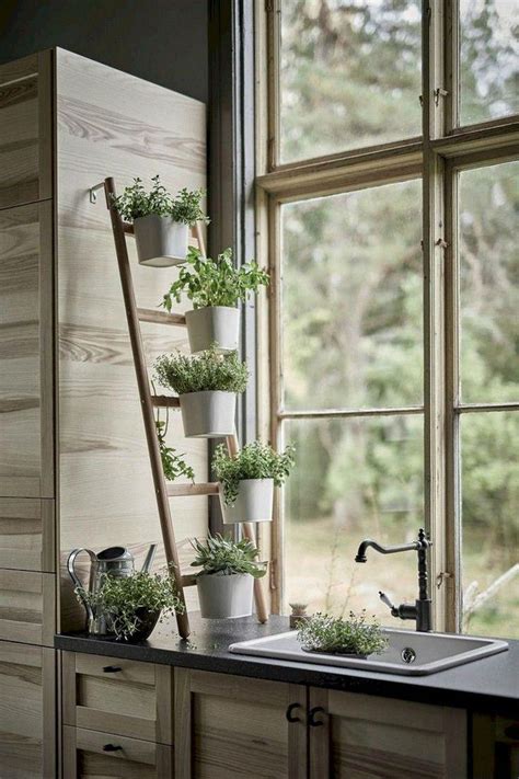 Check Out Right Here Kitchen Window In 2020 Herb Garden In Kitchen