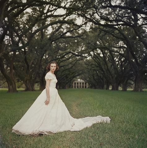 Southern Belle Photograph By Slim Aarons Fine Art America