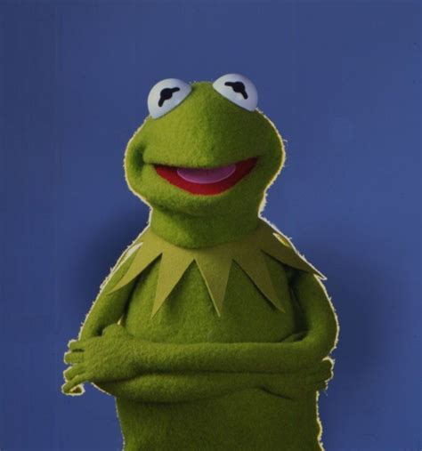 Meer Dan 1000 Afbeeldingen Over Kermit The Muppet Frog Op Pinterest