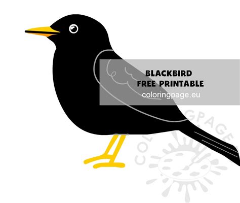 Free Cartoon Blackbird Vector Illustration Coloring Page
