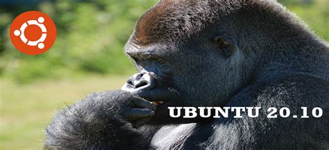 Ubuntu 2010 Codename Groovy Gorilla And Release Schedule