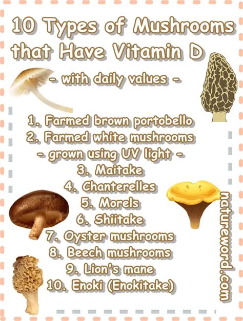 Vitamin D Foods List 10 Mushrooms That Have Vitamin D Natureword
