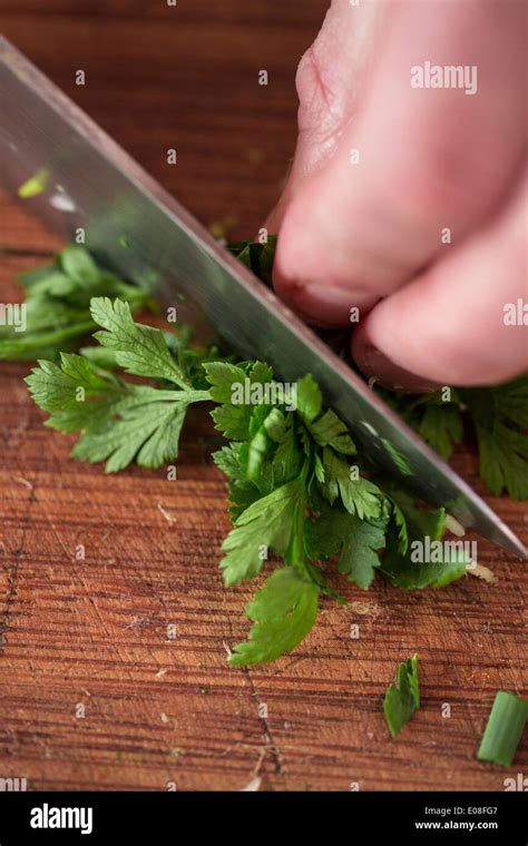 Person Cutting Parsley Close Up Stock Photo Alamy