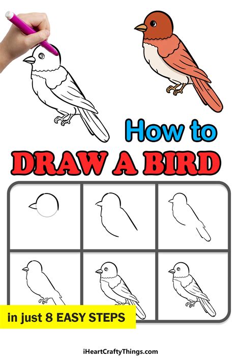 Bird Drawing How To Draw A Bird Step By Step