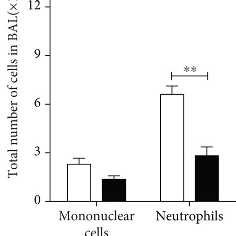 The Invariant Natural Killer T Cells Drive P Brasiliensis Killing By