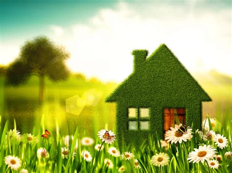 5 Ways To Turn Your Home Into A Green Home Burgan Real Estate