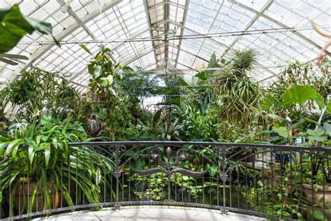 Hours may change under current circumstances Inside San Francisco Golden Gate Park's Conservatory of ...