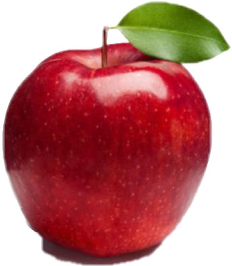 Apple Fruit Gala Fuji Food Red Apple Png Download 10081158 Free
