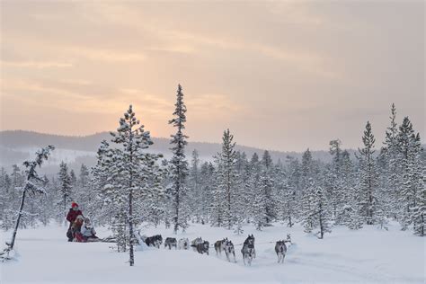 Ovation Dmc Swedish Lapland Winter Adventure At Its Best