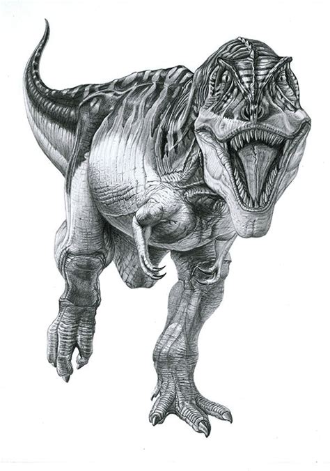 Tyrannosaurus Dinosaur Sketch Dinosaur Art Prehistoric Animals