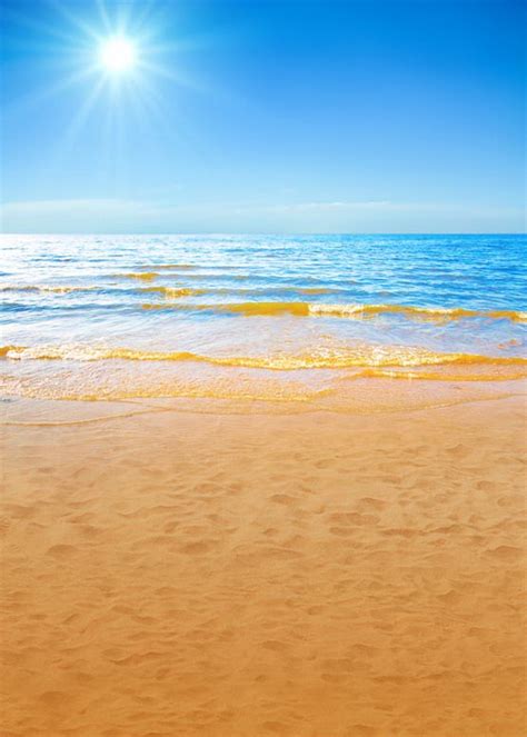 Sky Blue Photography Backdrop Fabric Golden Sea Beach