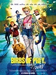 Birds of Prey et la fantabuleuse histoire de Harley Quinn - film 2020 ...