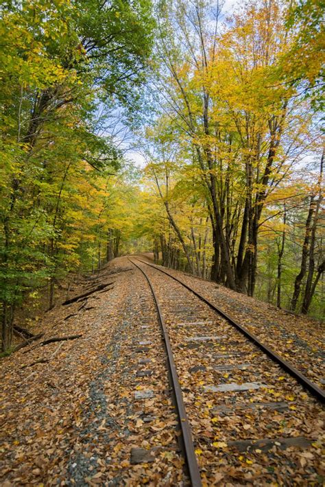 Free Stock Photo Of Rail Track In Autumn Forest Download Free Images
