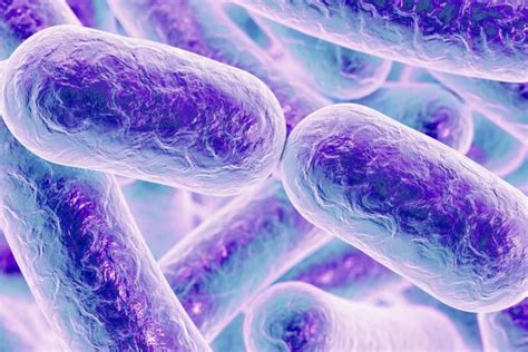 Bacterias 3 Formas De Vida Nuevas Descubiertas En El Espacio