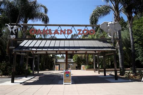 The Oakland Zoo May Close Permanently 997 Now
