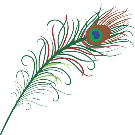 peacock feather border clipart free images clipartix