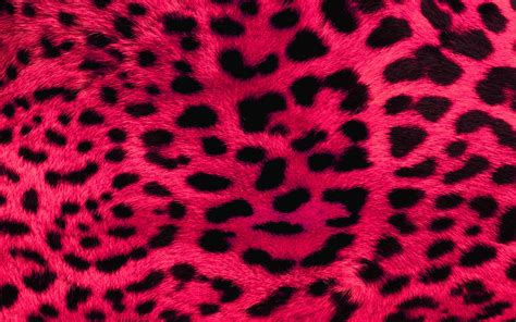 Animal Print Desktop Backgrounds ·① Wallpapertag