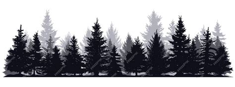 Premium Vector Pine Trees Silhouettes Evergreen Coniferous Forest