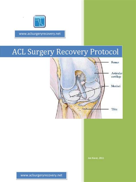 Acl Surgery Recovery Protocol Anatomical Terms Of Motion Knee