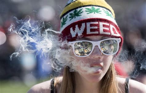 fumo passivo e cannabis cbdmania it