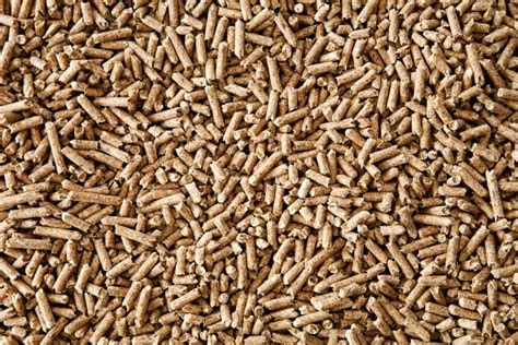 Russia Cannot Compensate For Stop Of Exporting Wood Pellets To Europe