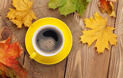 Wallpaper Autumn Coffee Cup Maple Autumn Leaves Cup