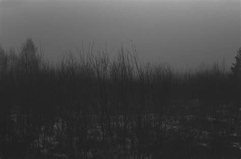 Dark Fog On Behance