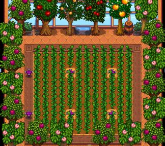 Normally, our team will track the evaluation of customers on. Stardew Valley Best Crops