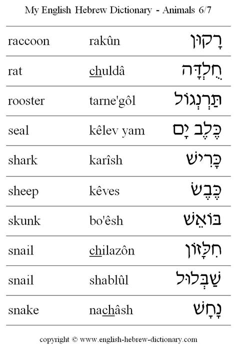 Hebrew Language Learning Hebrew Language Words Learning A Second