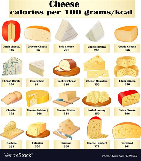 Set Of Different Kinds Of Cheese Royalty Free Vector Image Kinds Of