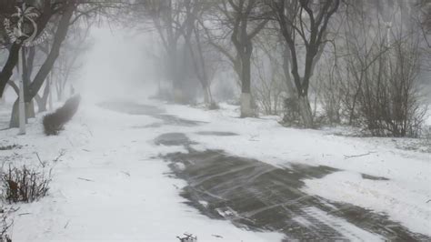 💨 Winter Storm Ambience With Howling Blizzard And Drifting Snow On An