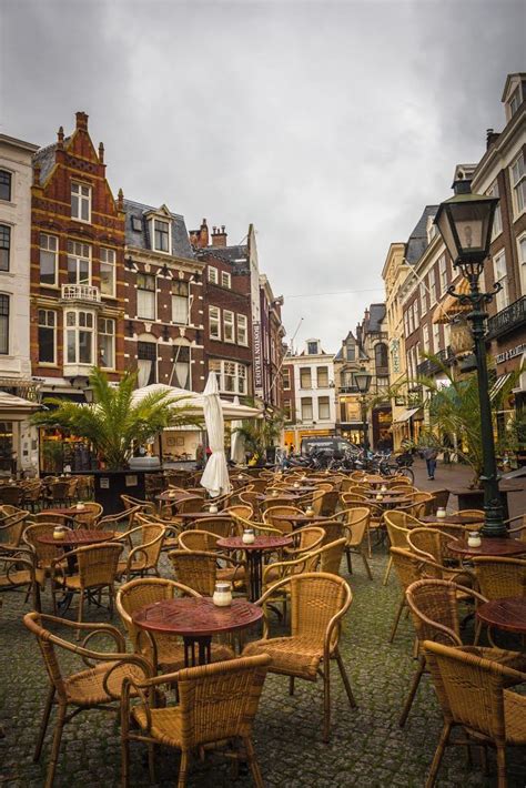 the best things to do in the hague holland s royal city by the sea artofit