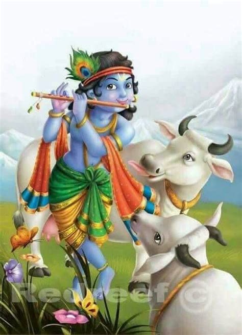 Krishna With Cow Cartoon Little Krishna Krishna Painting Radha