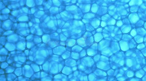 Abstract Blue Cells Backgrounds Stock Footage Video Of Compound